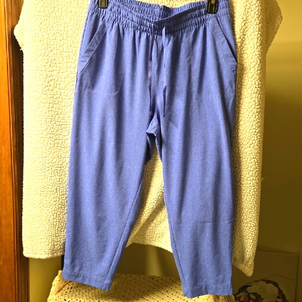 ❤️‍🔥❤️‍🔥❤️‍🔥Womens Light Blue Casual Capri Pants T By Talbot.